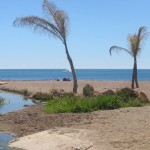 Am Strand von El Faro - Playa El Charcón