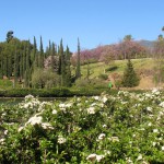 Benalmádena - Parque de la Paloma