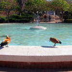 Benalmádena - Parque de la Paloma