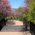 Benalmádena - Parque de la Paloma