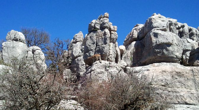 Torcal de Antequera – Ein faszinierender Ausflug in die Erdgeschichte – Teil 2