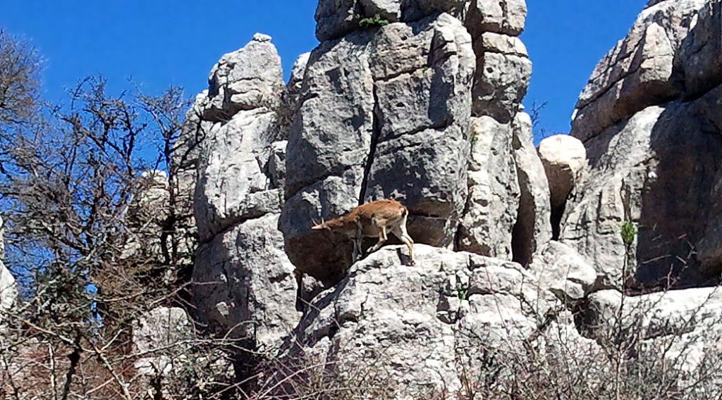 Torcal de Antequera