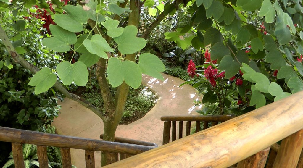 Mariposario de Benalmádena - Schmetterlingspark von Benalmádena