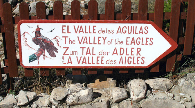Valle de las Águilas – Greifvögel im Tal der Adler hautnah