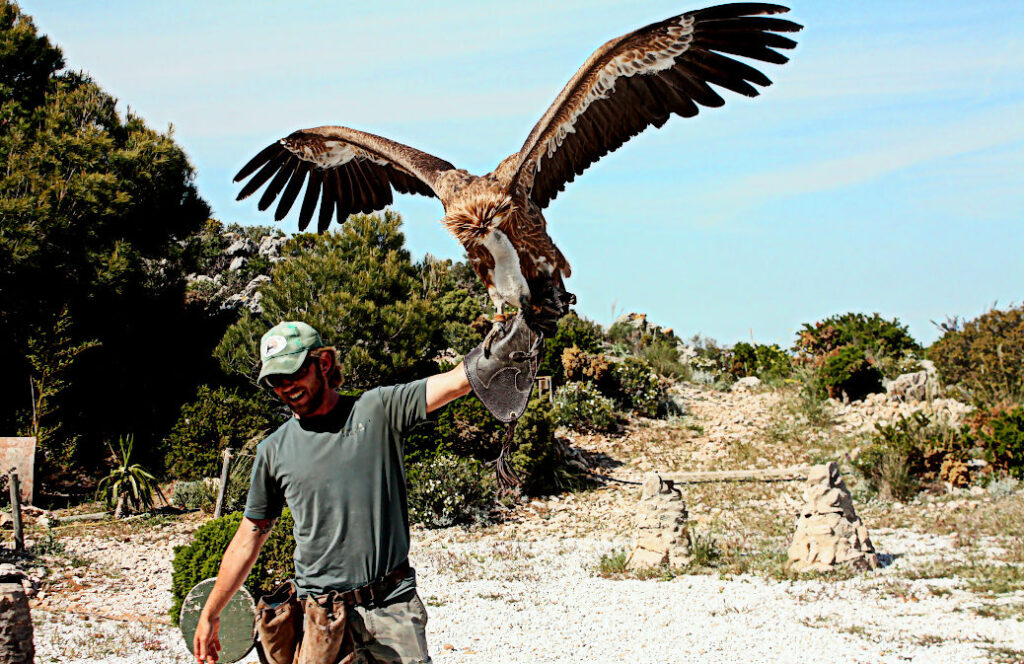 Valle de las Aguilas - Tal der Adler - Monte Calamorro - Benalmádena