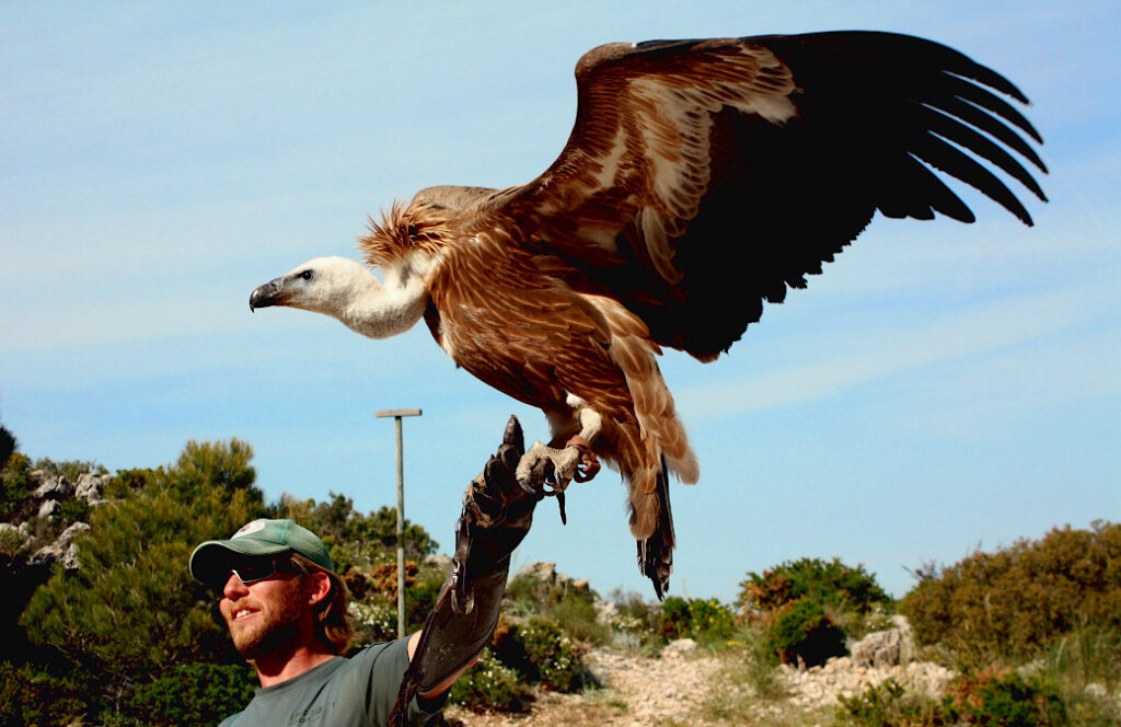 Valle de las Aguilas - Tal der Adler - Monte Calamorro - Benalmádena